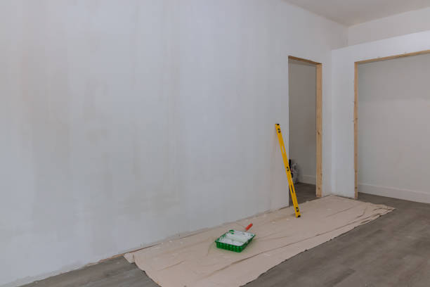Best Post-Construction Mold Inspection  in Debary, FL