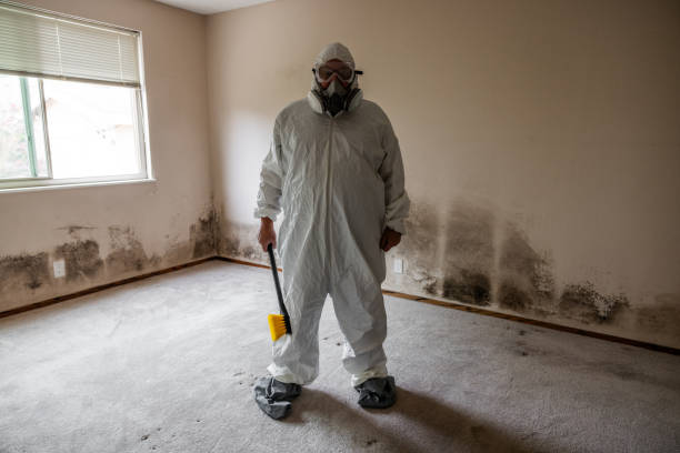 Best Residential Mold Inspection & Testing  in Debary, FL