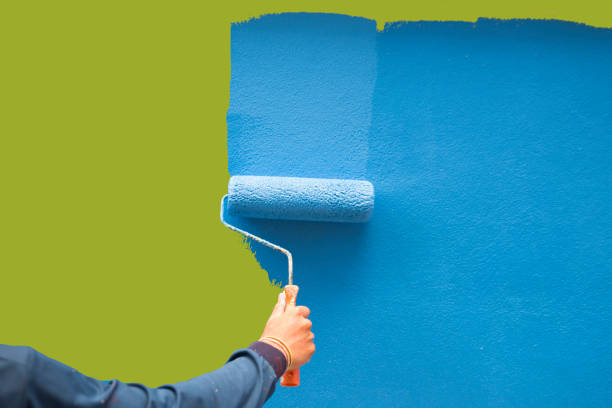 Best Forensic Mold Investigation  in Debary, FL